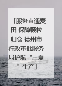 服务直通麦田 保障颗粒归仓 德州市行政审批服务局护航“三夏”生产